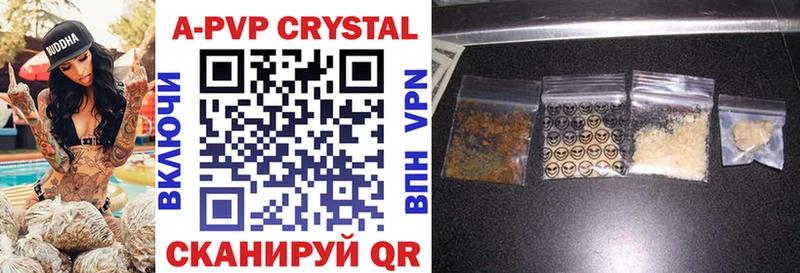 Купить  Западная Двина  A PVP СК КРИС 