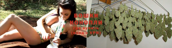 твердый Корсаков
