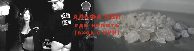 твердый Корсаков