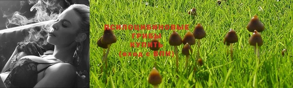 марки lsd Костерёво